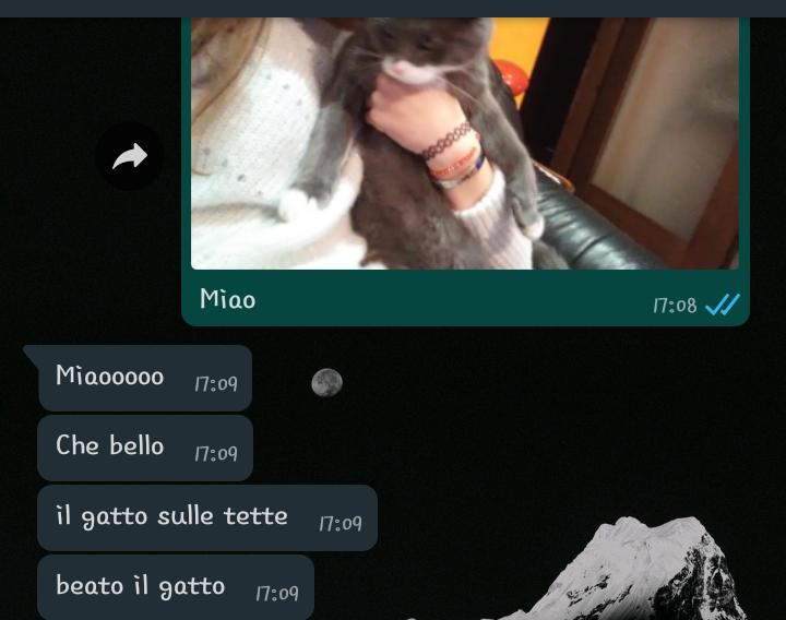 Come se avessi una quinta ahahah