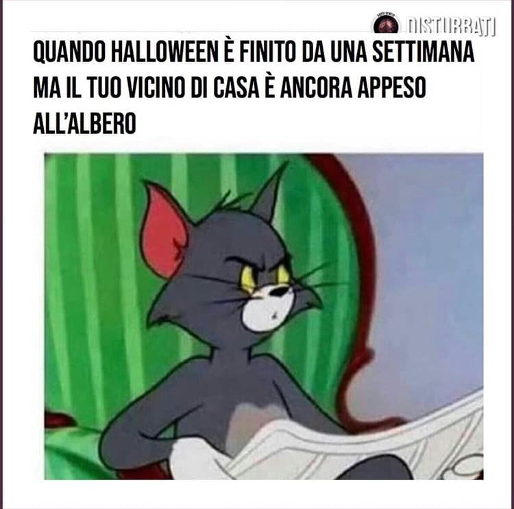 Secondo voi sta bene?