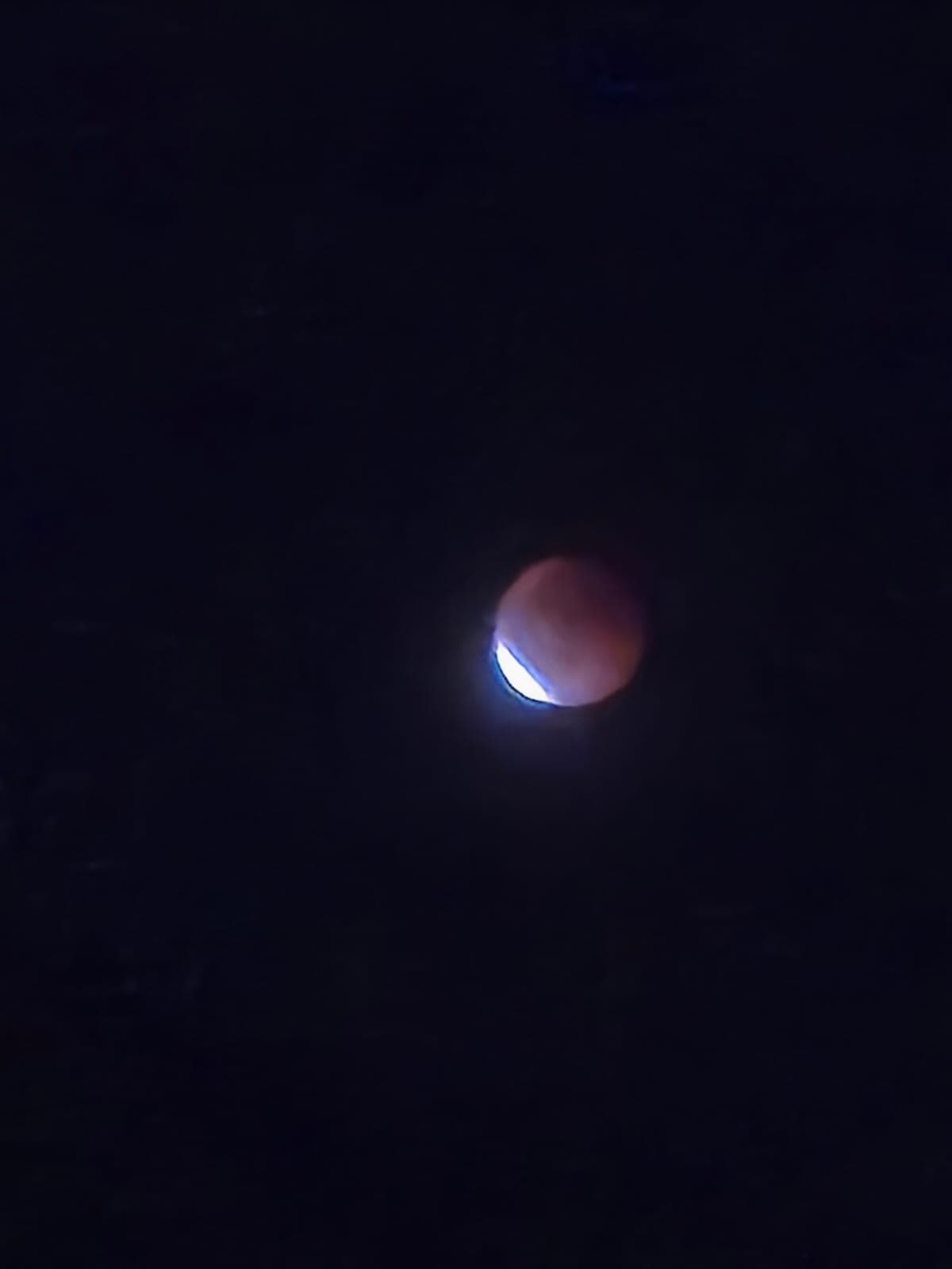 Riflessione sul mondo odierno