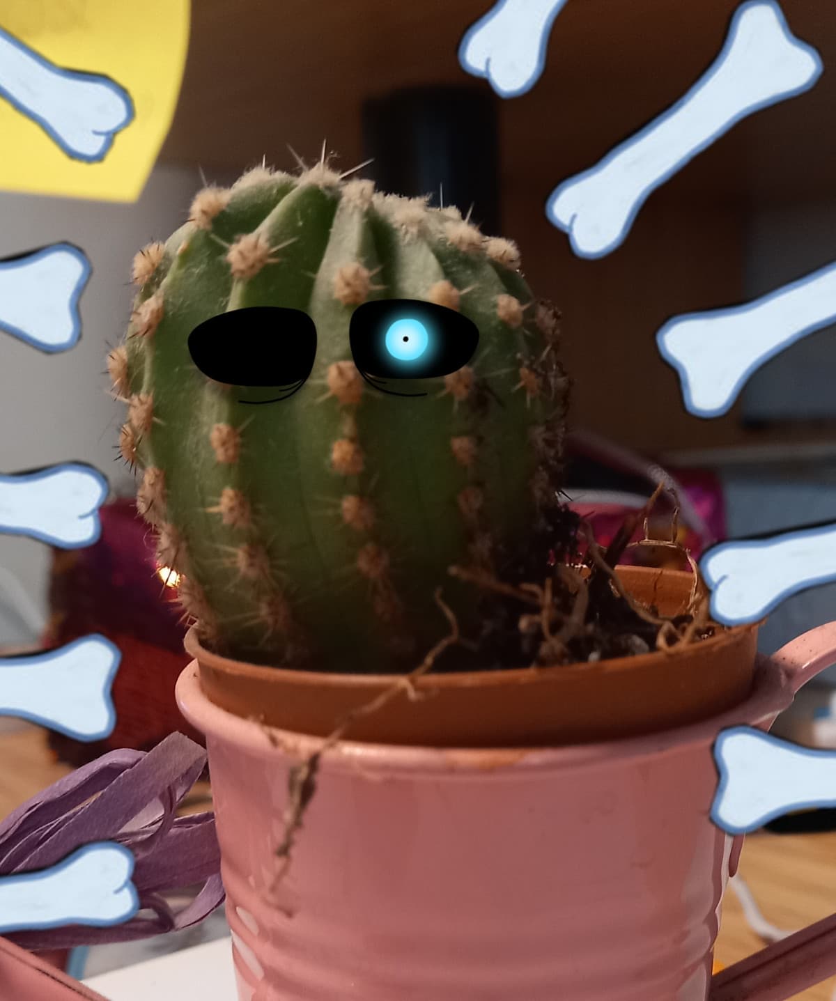 I'm Sans, Sans the cactus.