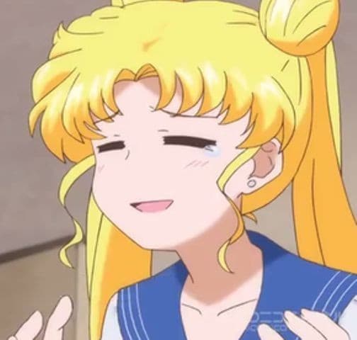 Stasera che faccio guardo Sailor moon o mi riguardo per l'ottantesima volta ghost in the shell??
