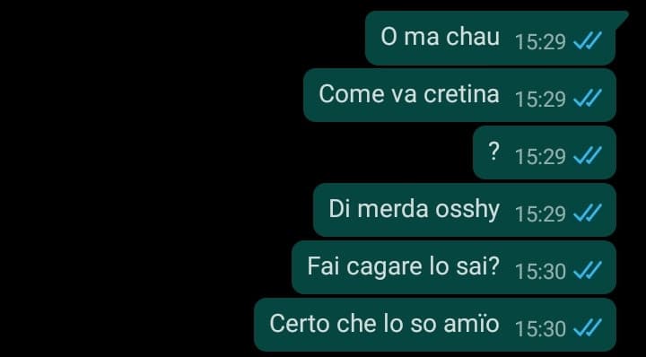 Questo è un pezzo della chat che ho con me stessa 