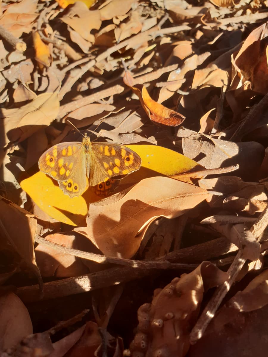 La natura è  bellissima ?