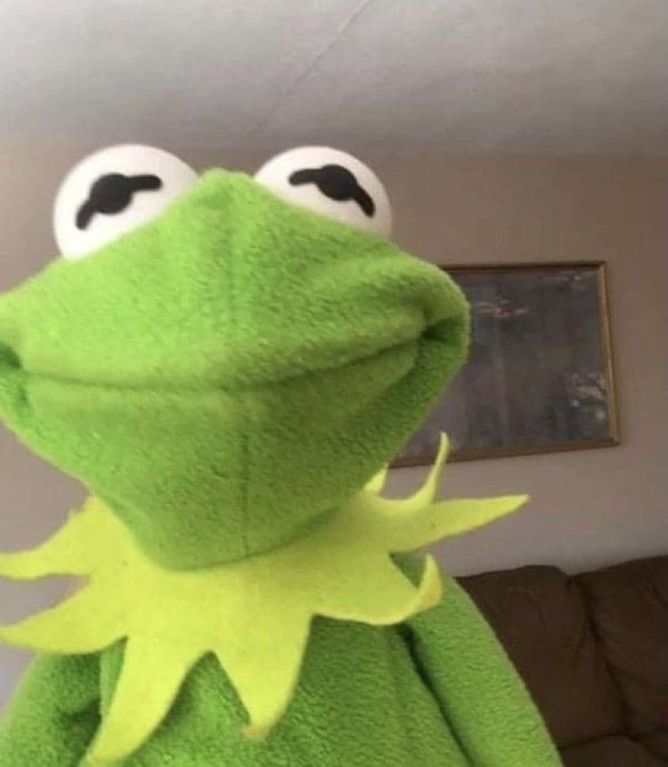 Lo sapevate che le giraffe quando partoriscono fanno cadere i neonati da due metri di altezza?🦒