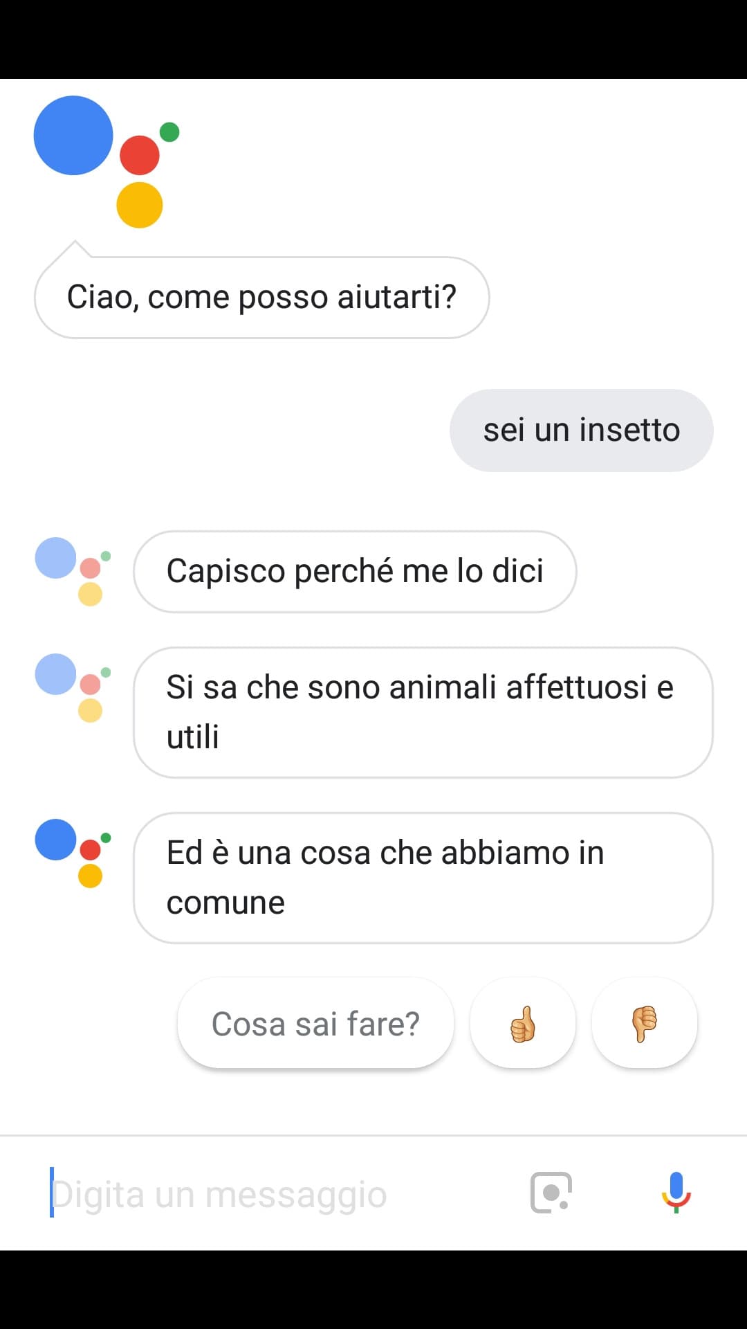 È la cosa più bella che qualcuno mi abbia mai detto