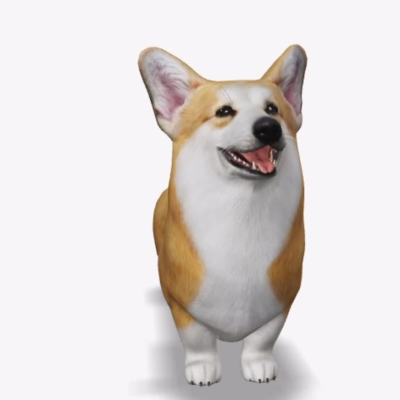 Corgi 3D