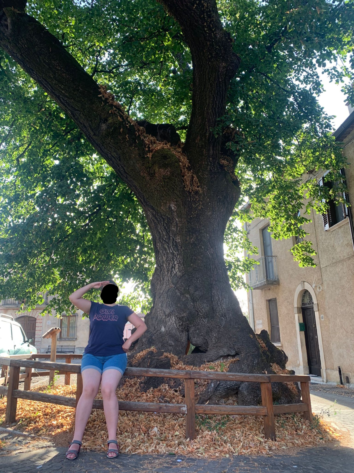 Mia mamma ha detto a mio fratello di farmi una foto davanti all'albero, mi ha detto di stare dritta ed io per prenderla in giro ho fatto il saluto militare, questo é il risultato AHAHAHAHA 