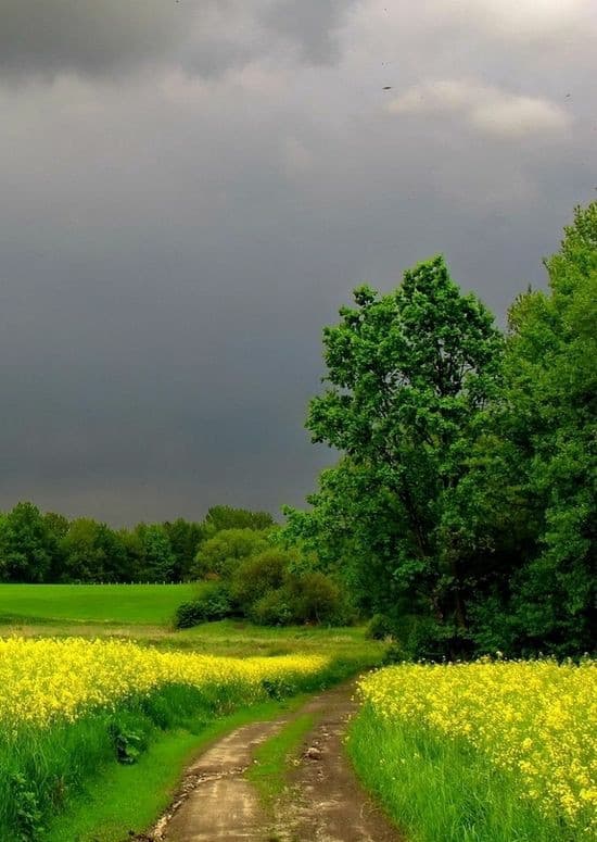 Adoro i temporali estivi. Il cielo scuro,il vento fresco,l'odore fortissimo di pioggia. I fulmini, tuoni