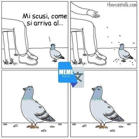 Questa gente maleducata.