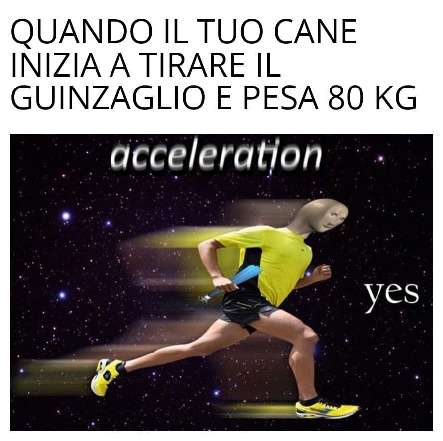 Oppure ne porti 2 da 40 kg l'uno