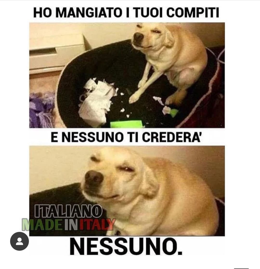 Il cane mi ha mangiato i compiti.. 