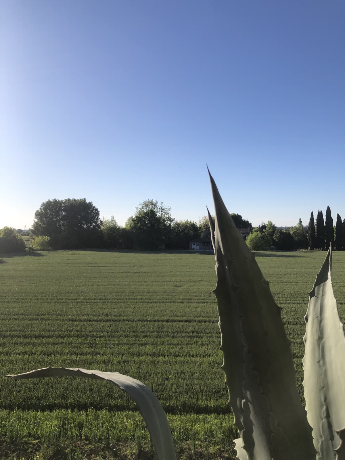 Ho sempre detestato chi si lamenta di un