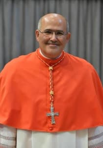 Cardinali elettori Conclave A. D. MMXXV: MENDONÇA Card. José Tolentino de. 