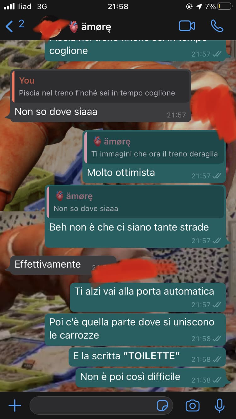 Scusate dove potrebbe mai essere il bagno in un TRENO