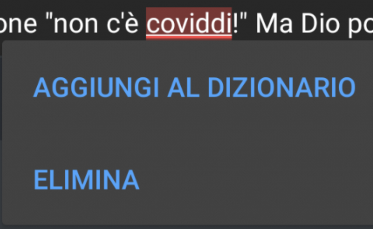 Aggiornamento Zanichelli 2020 ?