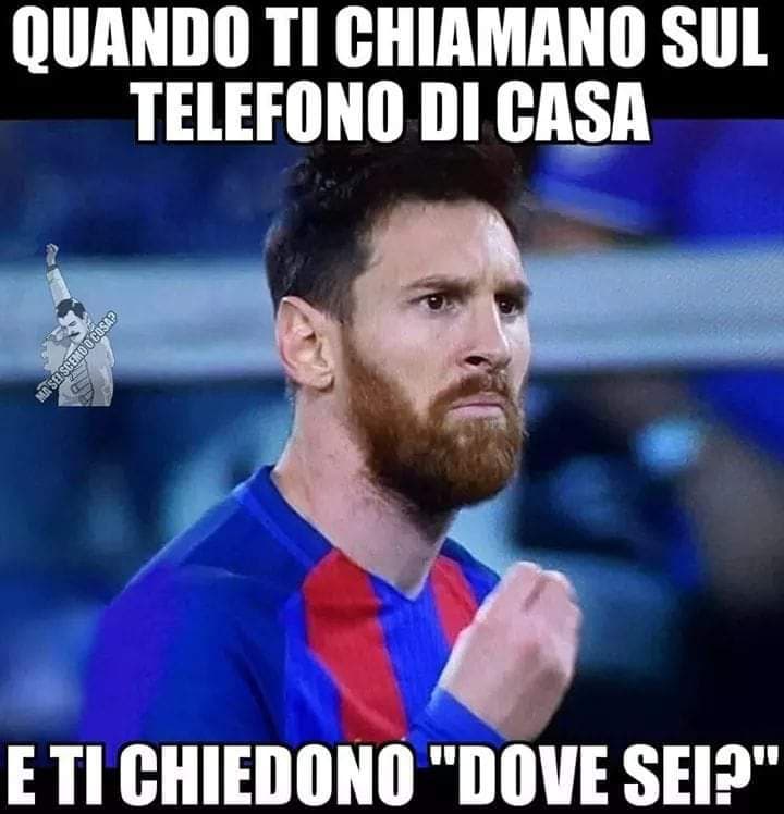 Poco intelligenti