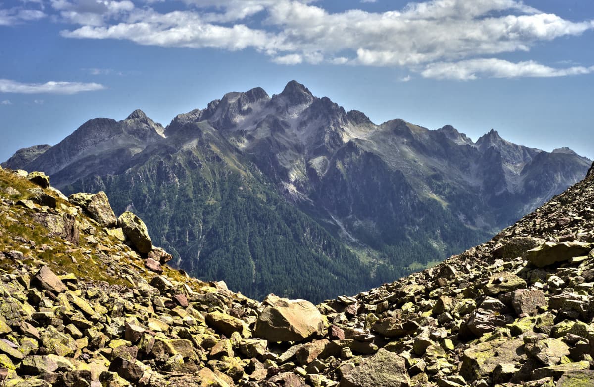 Cima d'Asta, Trentino