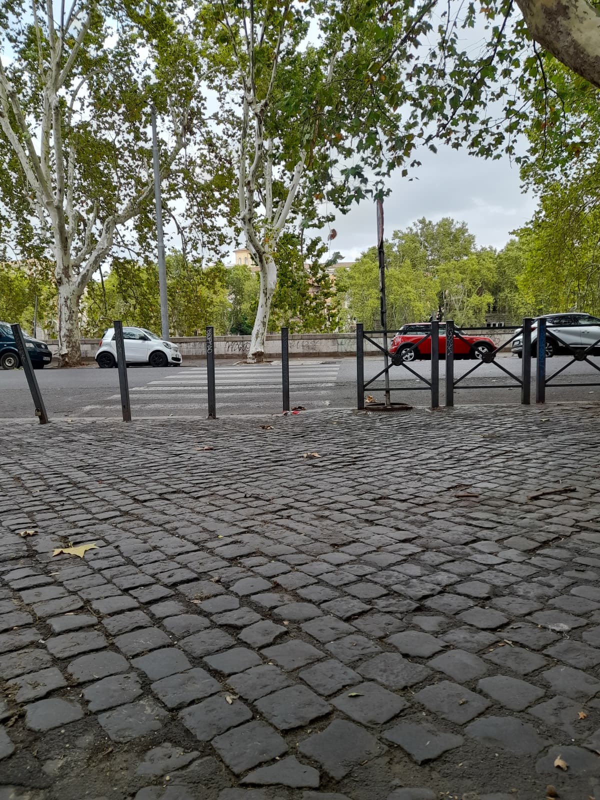 ho iniziato ľorientamento per ľuniversità che coglioniiii ho rimosso come si fa amicizia mi sparo. toh trastevere molto figo.