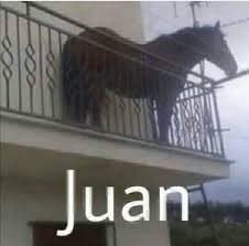 Juan