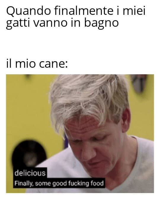 Se il meme è tuo guarda la bio di @cianci