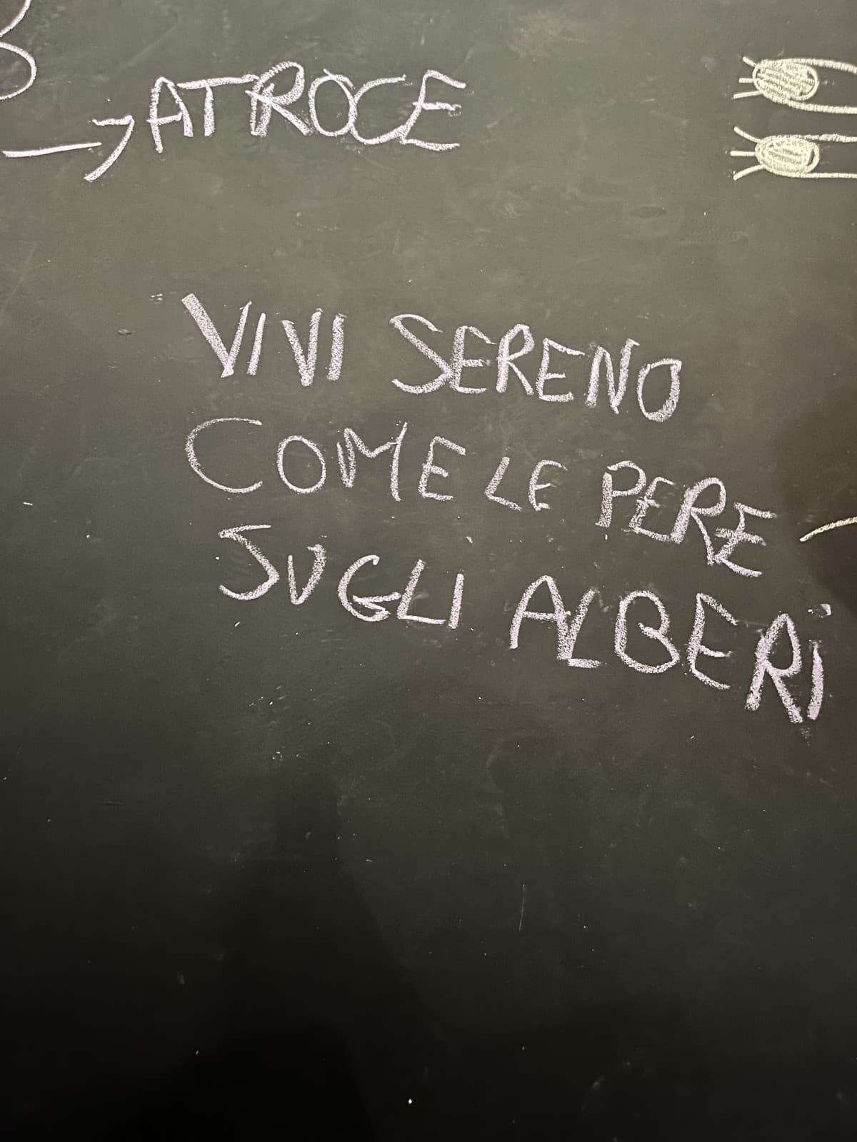 Sto na schifezza 