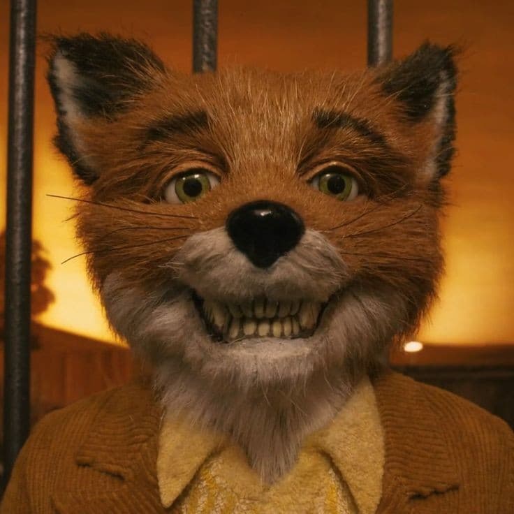 Ho appena finito di guardare Fantastic Mr. Fox. Mi ha particolarmente stranito, in senso buono. È così boh, non so come definirlo