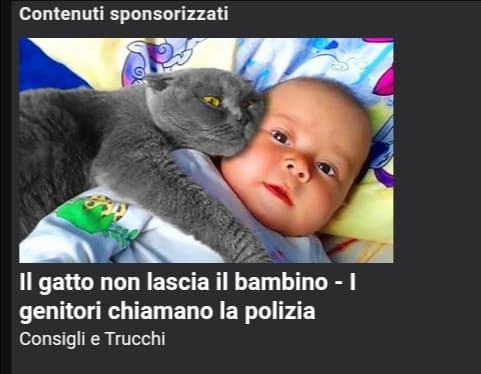 Le pubblicità di insegreto sono sempre le migliori ✨