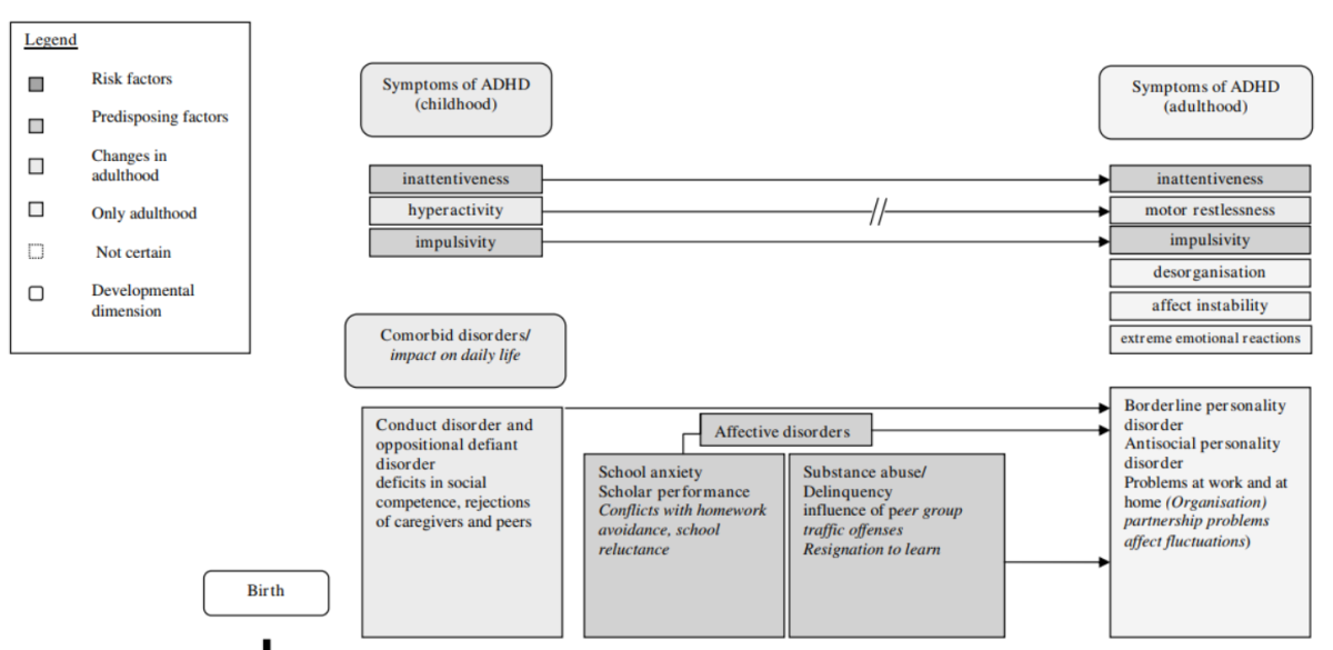 Schema interessante sull'ADHD rubato a un altro essere vivente che ha studiato
