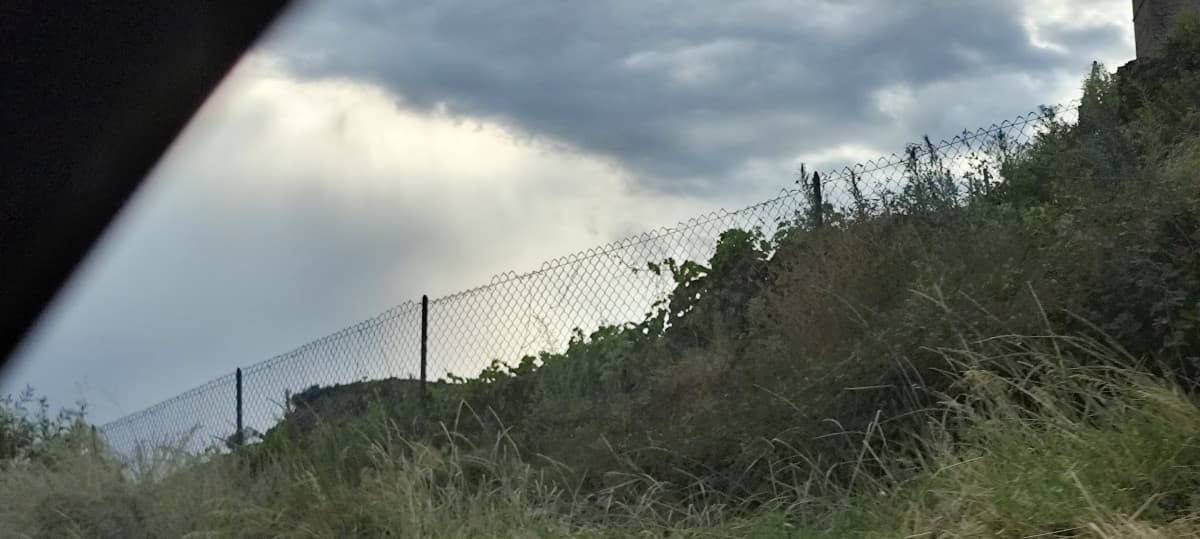 sto imparando dai miei timidi e penosi tentativi