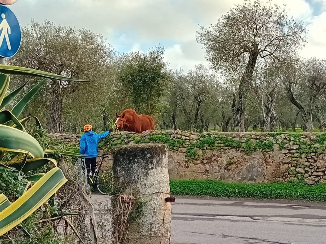 È vrcchia ma mi mette trqnquillità