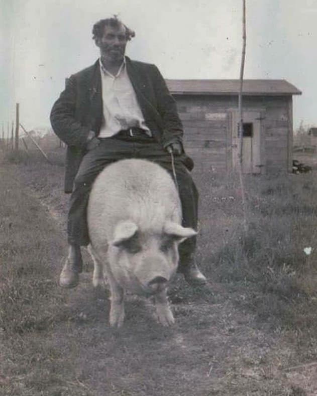 Altra fotina d'epoca che ho trovato (cc: @lefotochehannosegnatounepoca su ig)

All'inizio del 1900 bere qualche drink e cavalcare un maiale era considerato lo sport più estremo che si potesse fare.

Voi lo fareste?

