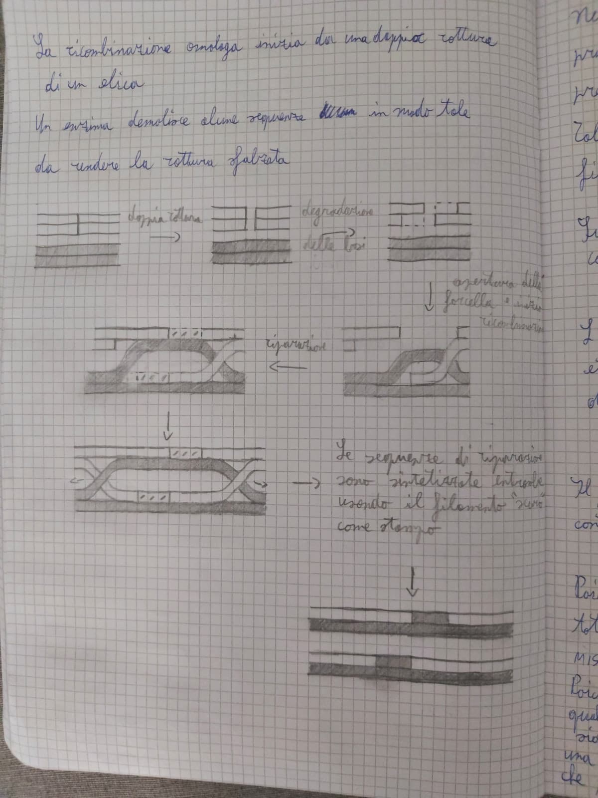 Preferisco i disegnini