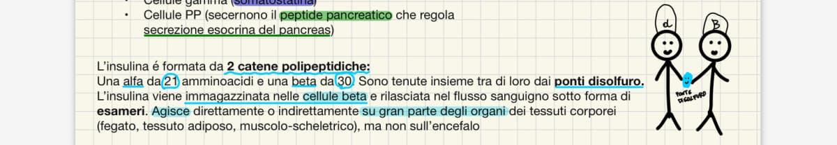 “Come fai a memorizzarlo?” I miei appunti: