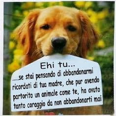 Stima per chi l’ha scritto 