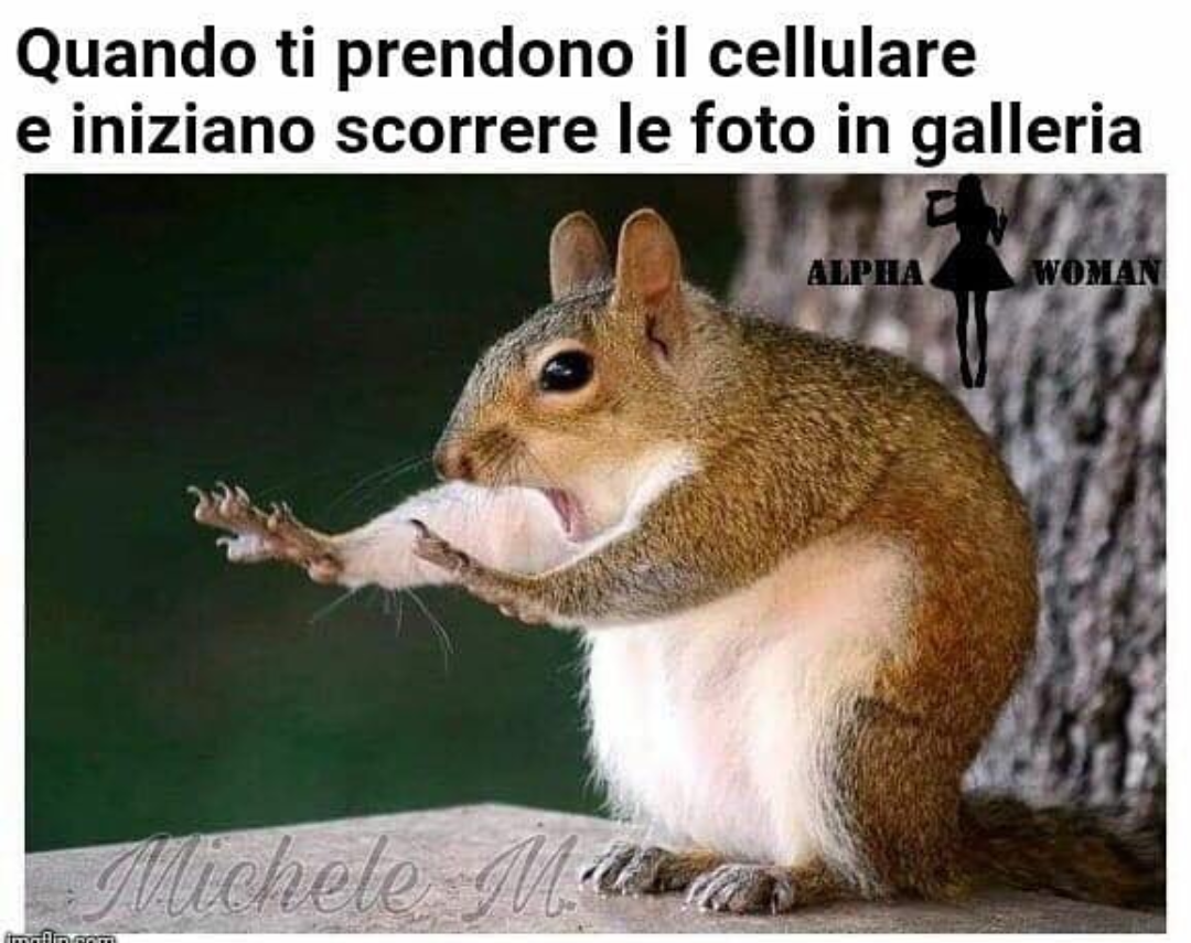 Proprio vero?