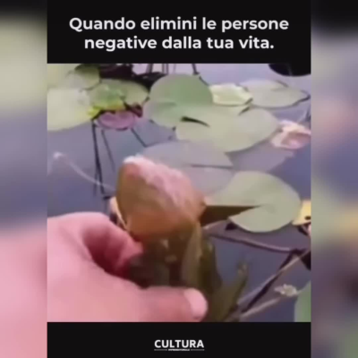 In questi mesi ci sono state persone che volevano riavvicinarsi a me, ma io sono un po' restio a “riprenderle” perché so che non portano bene. E mi sento in colpa a volte, penso “forse sbaglio”. Poi arrivano sti video che mi incoraggiano 😎