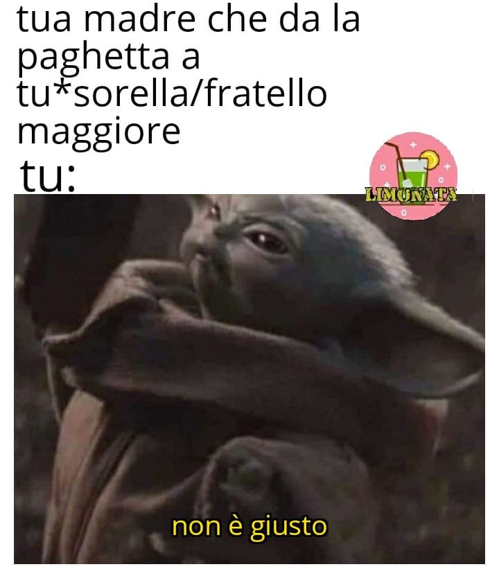 Questo fa schifo 