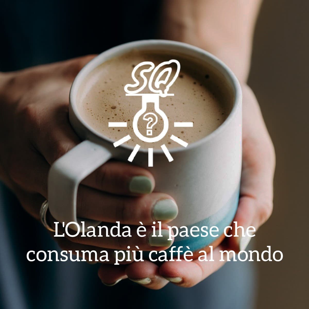 #curiosità