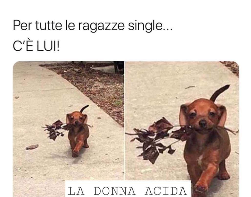 Raga, finalmente ho trovato maritoo!!!