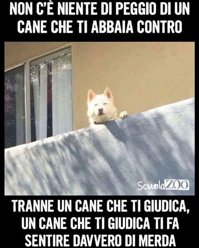 Ahahah no vabbè 