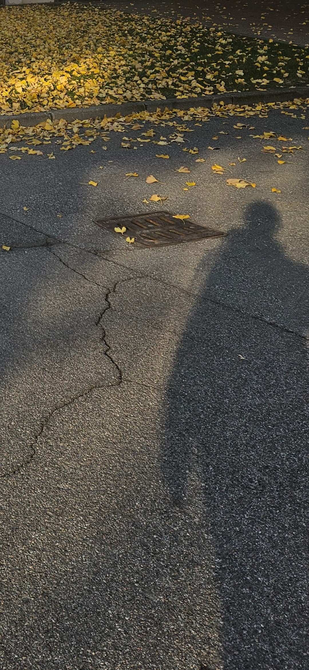 Oggettivamente so di aver fatto un lavoro migliore, almeno solo dal punto di vista dei risultati che ho ottenuto