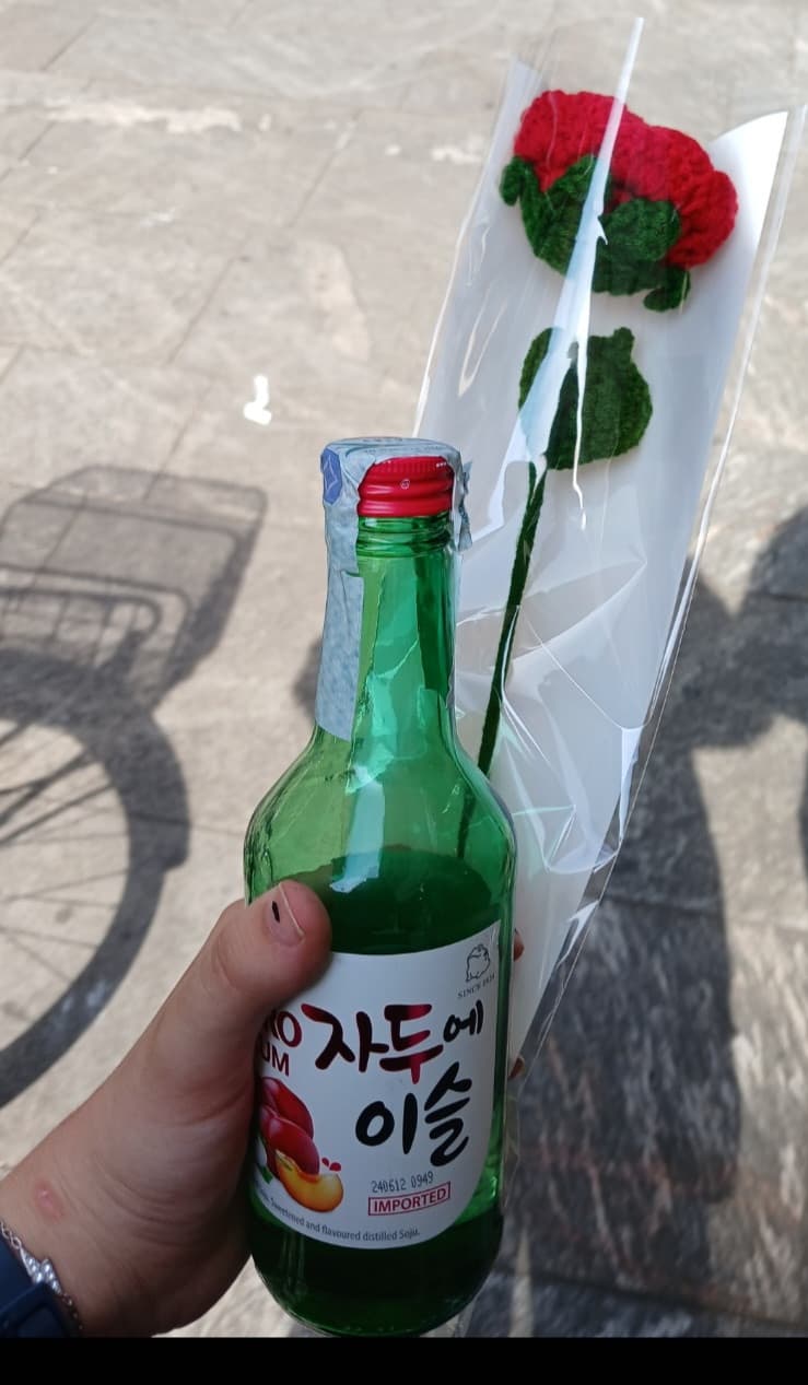 il mio ragazzo 