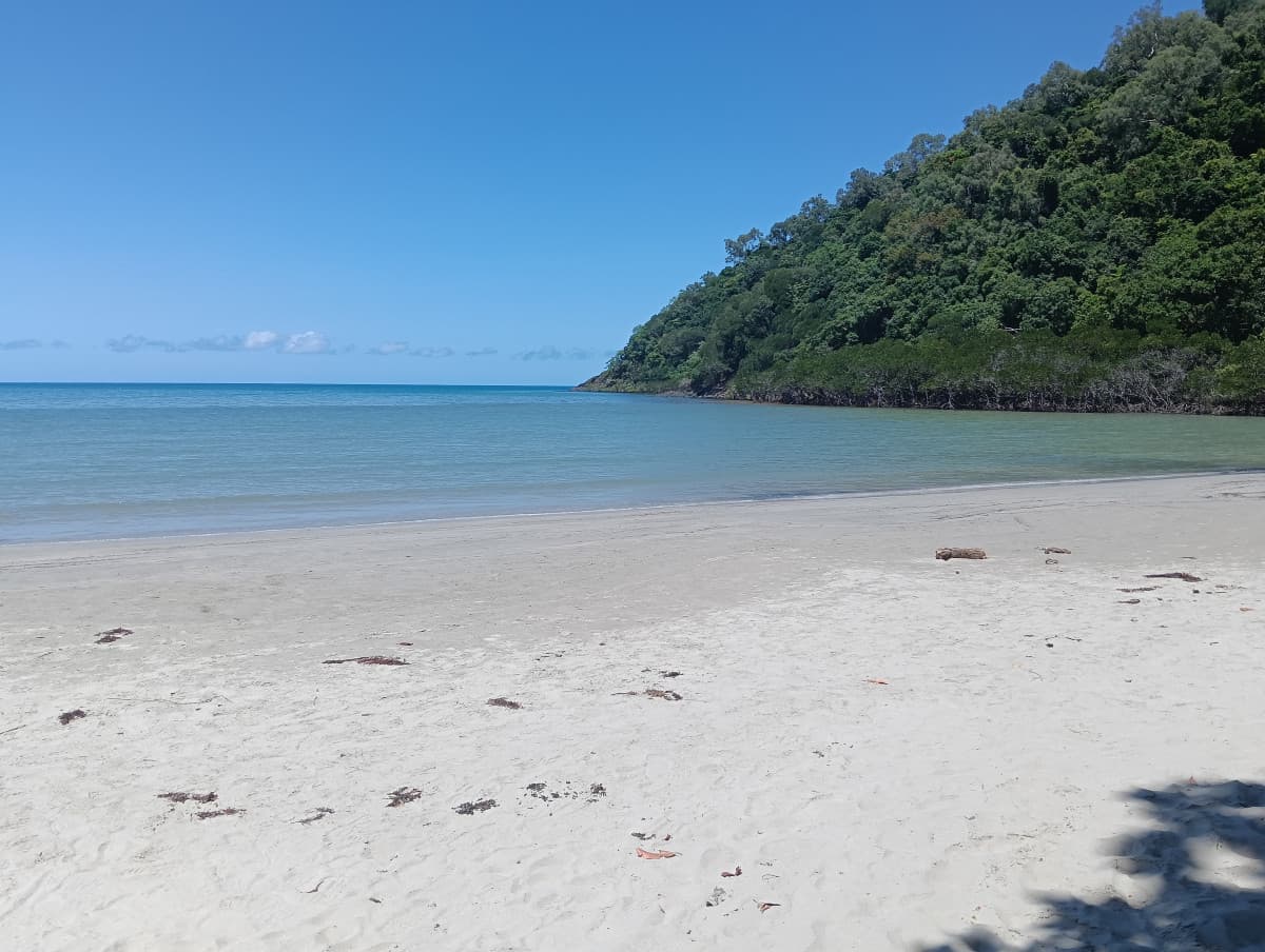 Cape Tribulation Beach