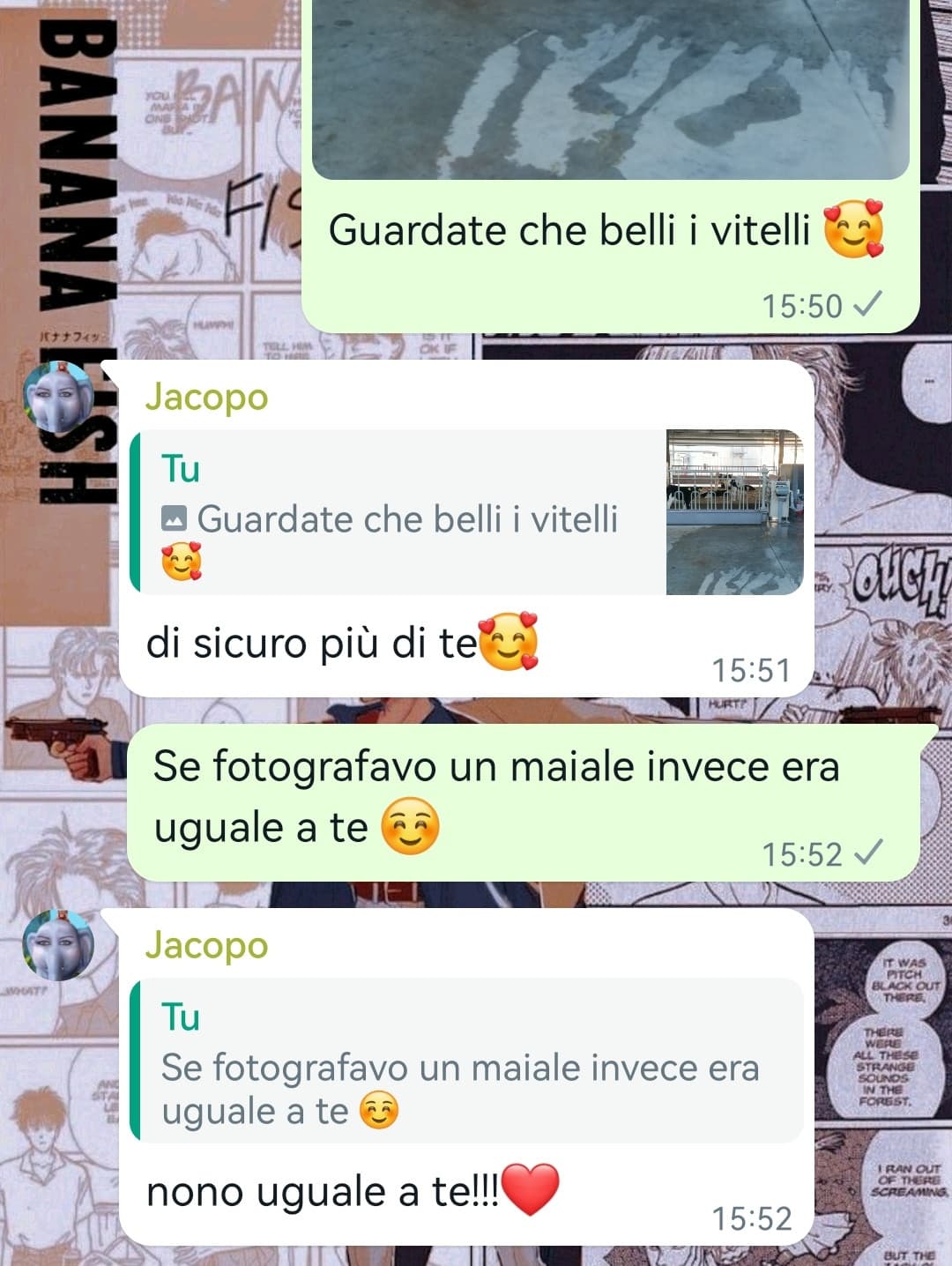 Giuro non lo sopporto mio fratello 