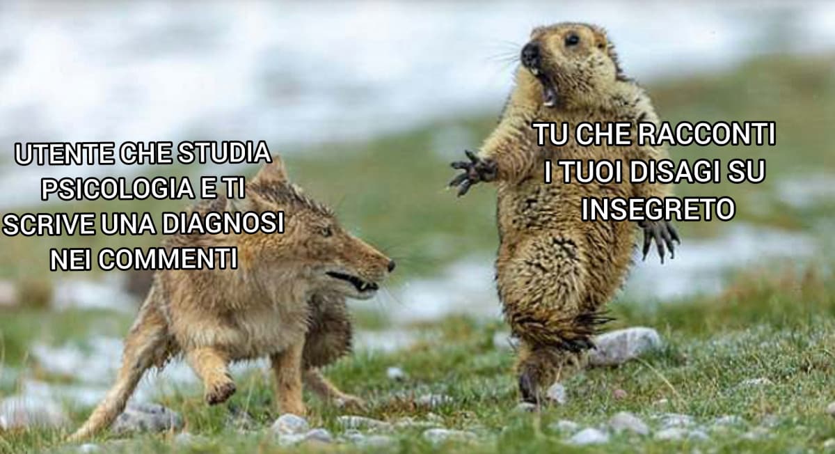 Buona seraaaaa