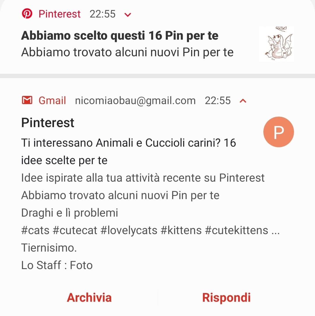 Pinterest: vuoi ricevere notifiche?
Io: no
Sempre Pinterest: