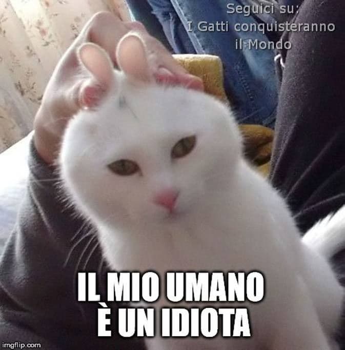 Ci comportiamo da stupidi con gli animali 