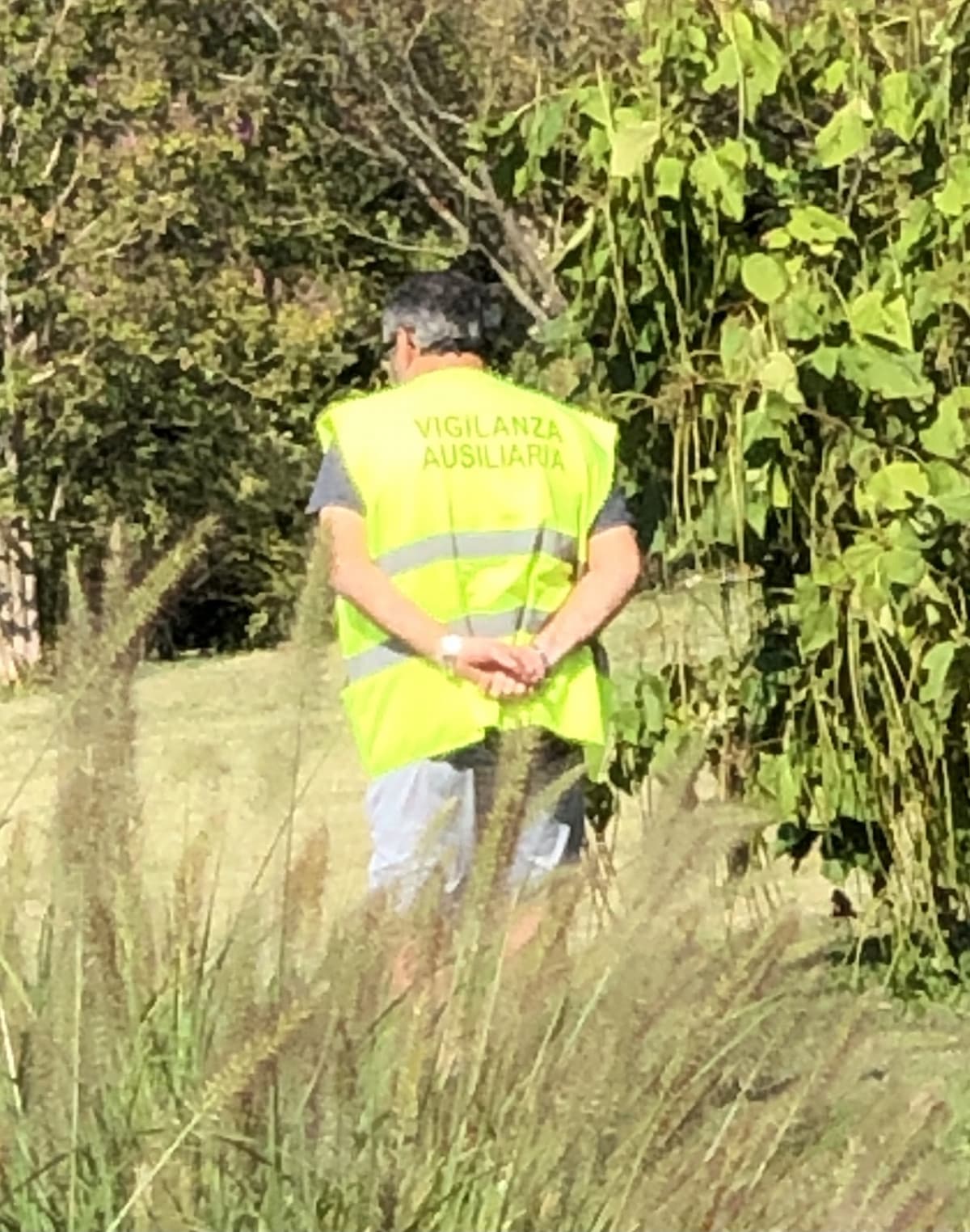 Non importa cosa stiate facendo al parco, lui vi passerà davanti, fissandovi, con le mani dietro la schiena e tanta voglia di non fare niente 