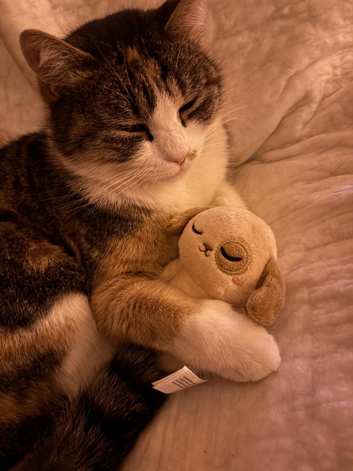 Raga salutate il mio patato!!