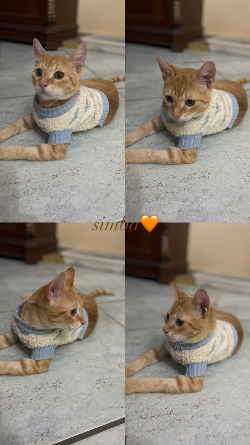 mio figlio 🧡
